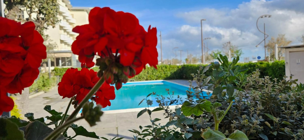 Park Hotel