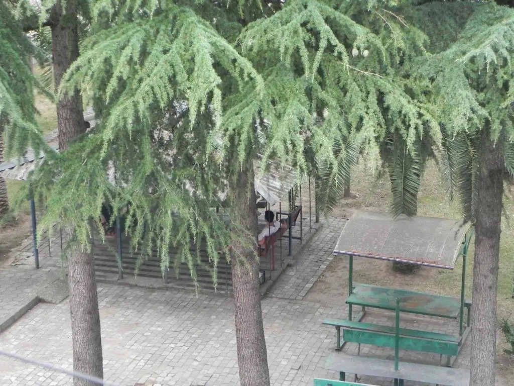 Comfortable apartment in Batumi