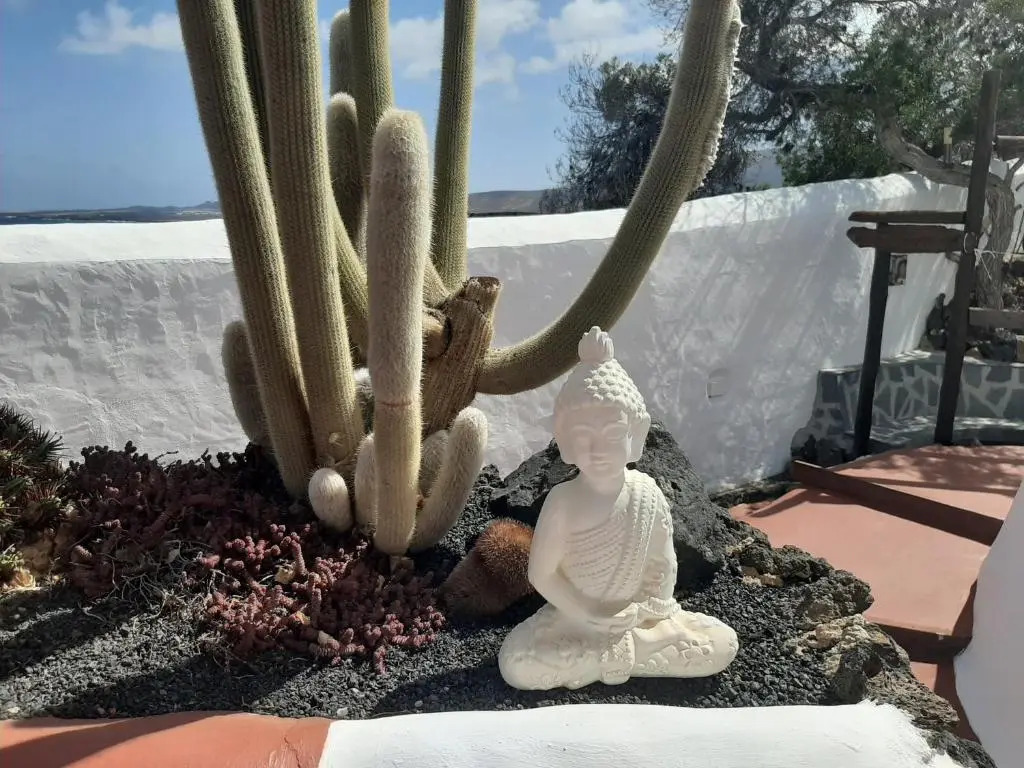 Eco Finca Verde