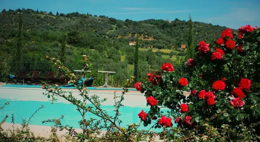 Casa Olivo