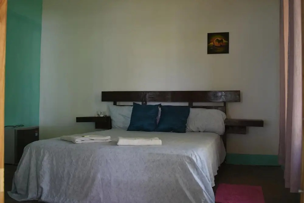 Casa turtle Bogue