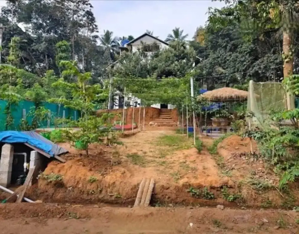 Loquat Inn Homestay