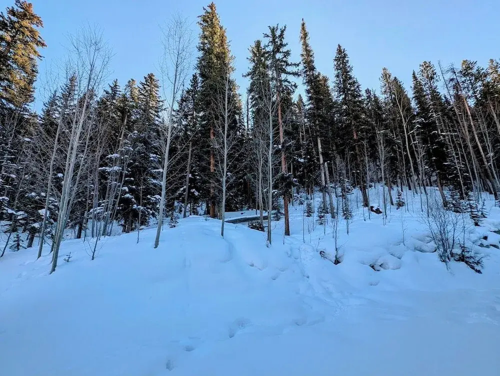 Settlers Creek 6540