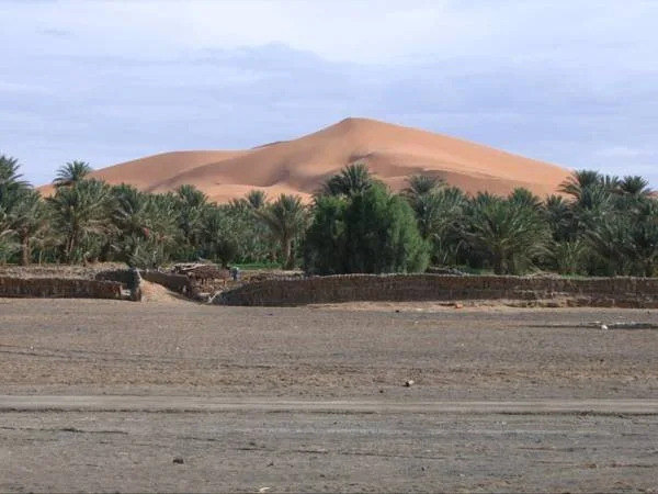 Maison Merzouga Guest House
