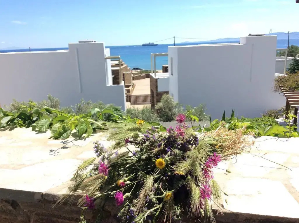 Village Bay Studios