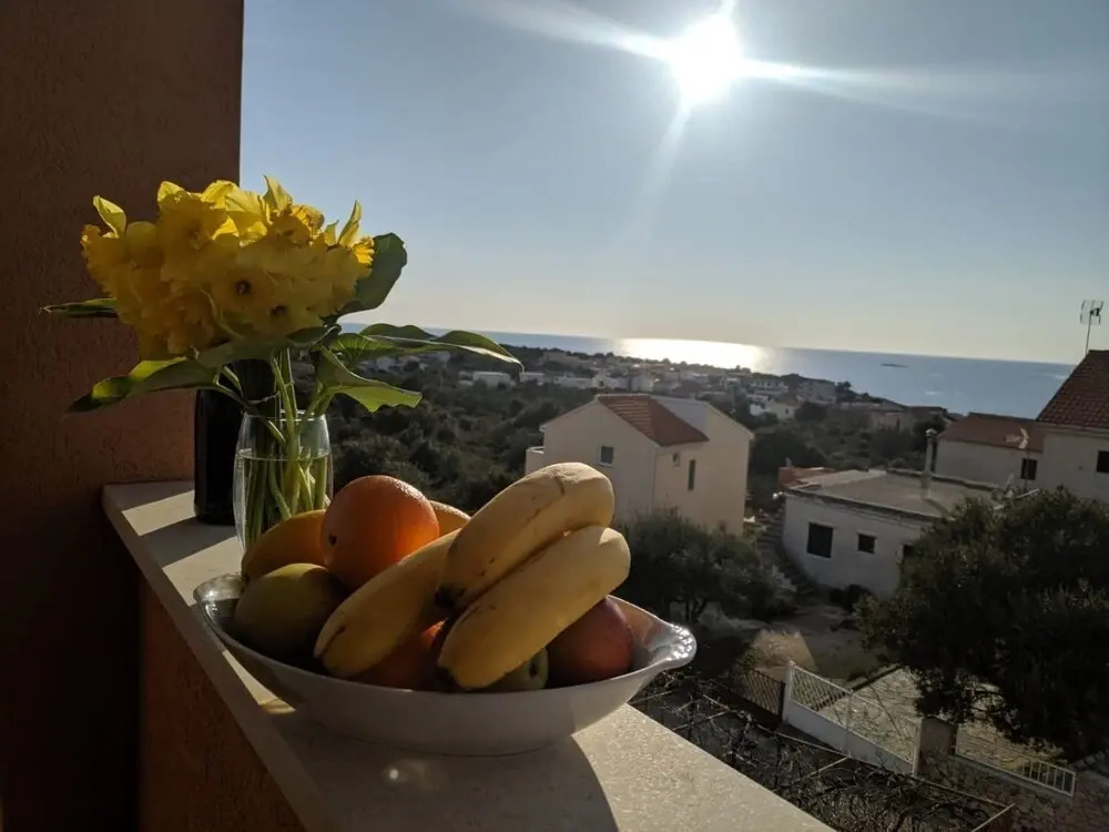 Apartments Radic