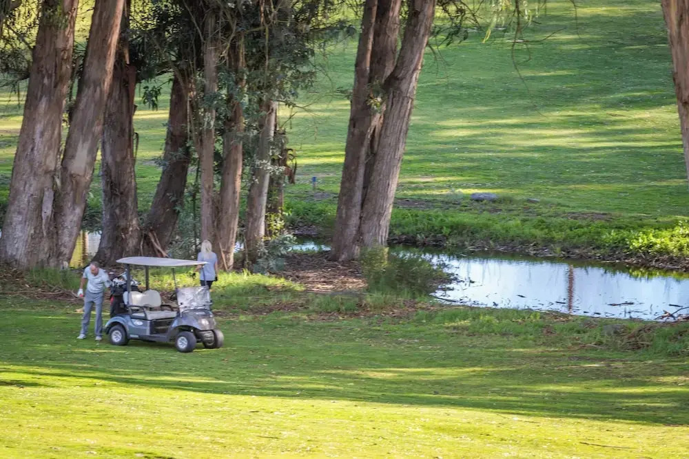 The Fairways