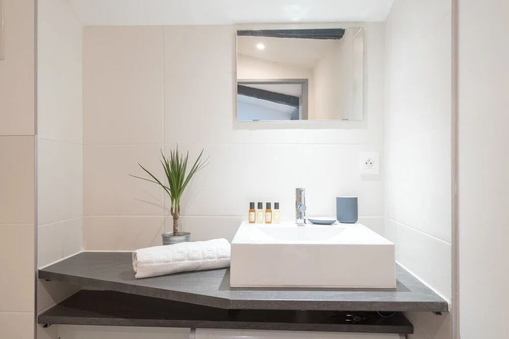New Studio rue Sainte Catherine
