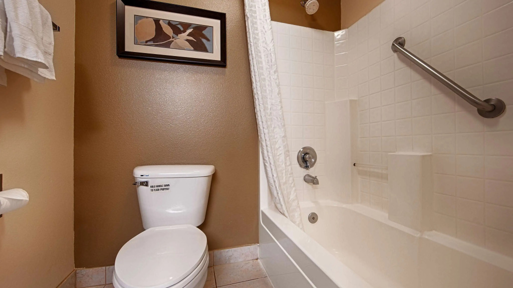 Best Western PLUS Mountain View Auburn Inn