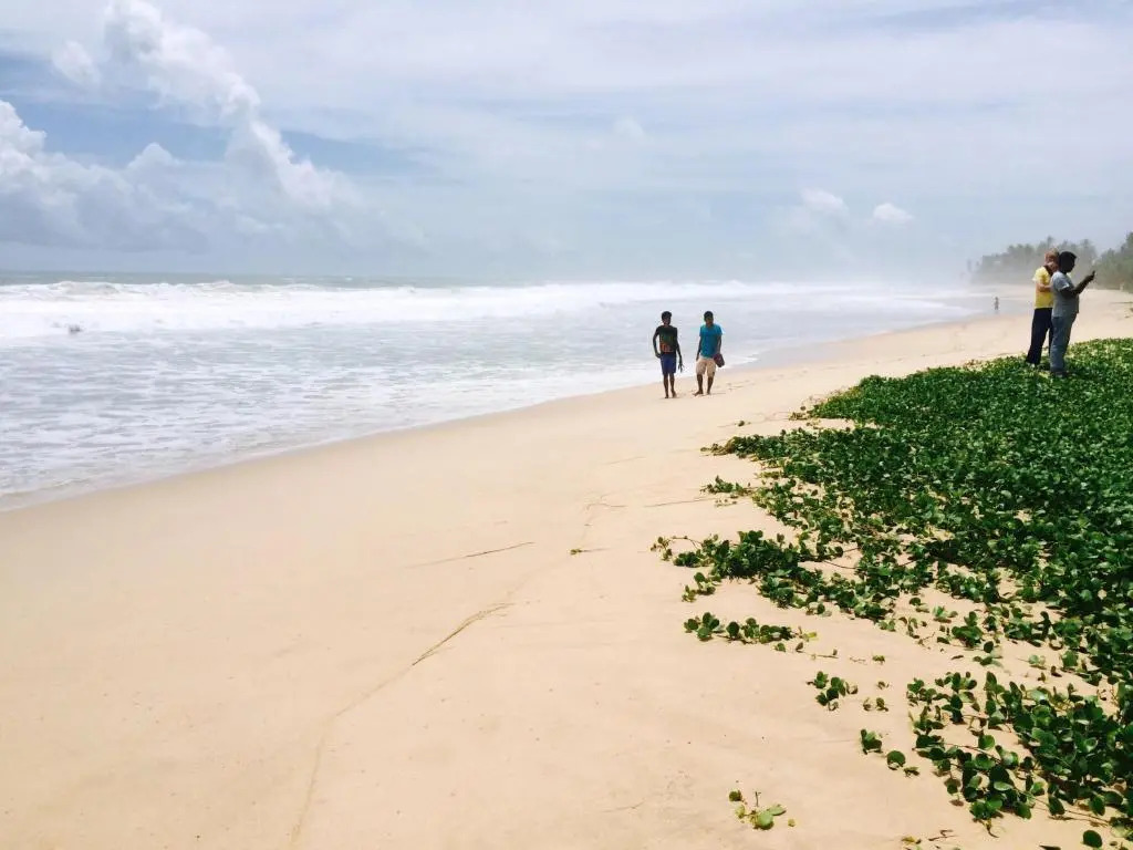 Orchard House Galle