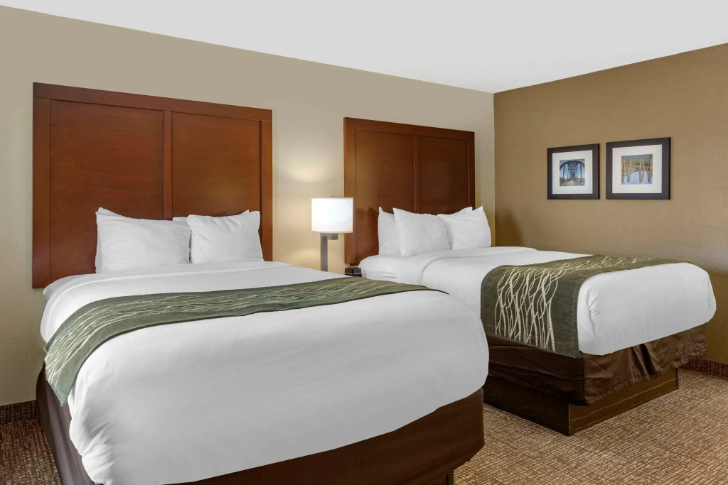 Comfort Inn & Suites Little Rock Airport