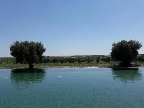 Terras - Agroturismo & Vinhos