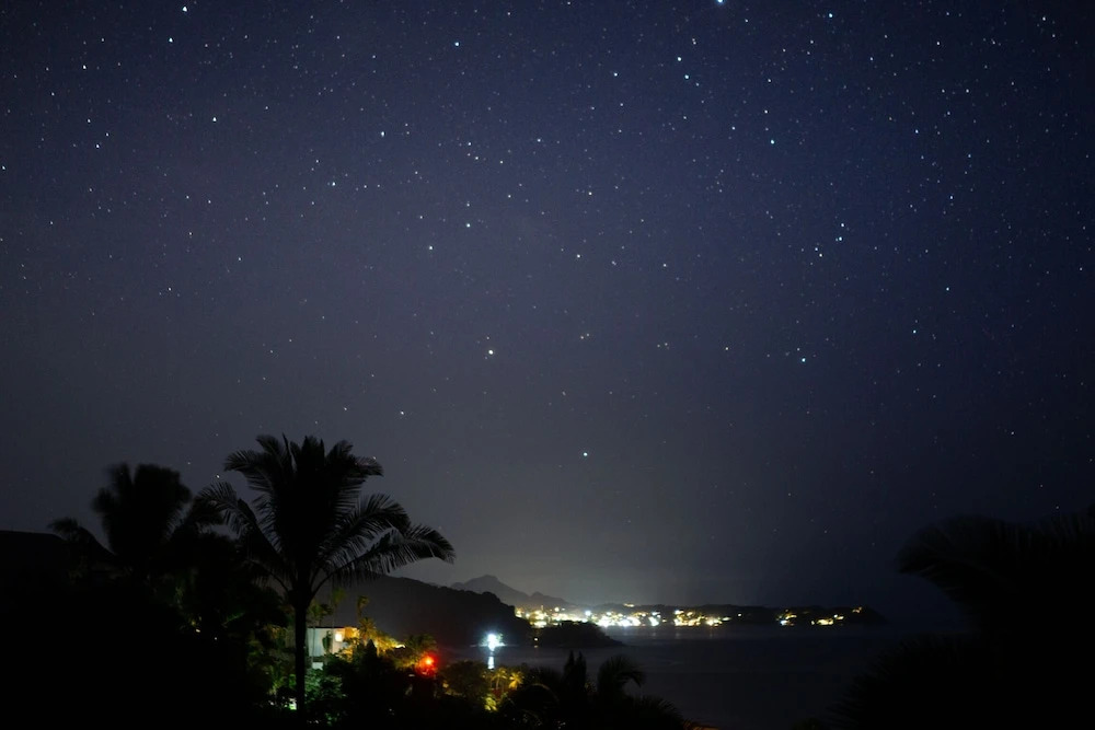Special Place Where you Combine the Peace of the Jungle With the Ocean View