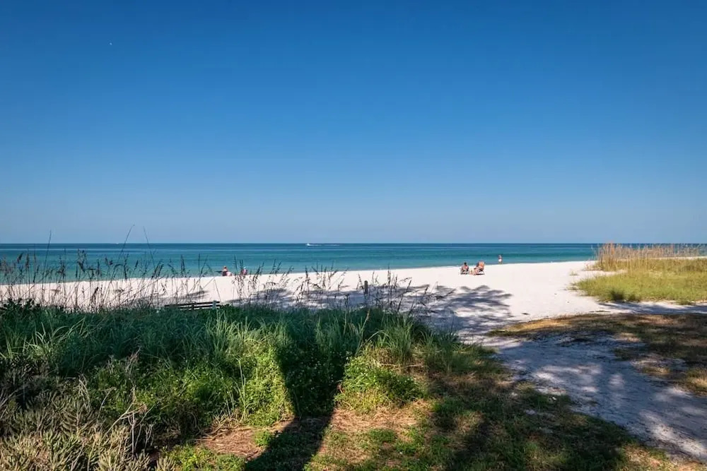 Palm Cay 5