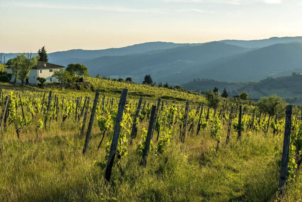 Florence Winery AgriResort - Fattoria Lavacchio