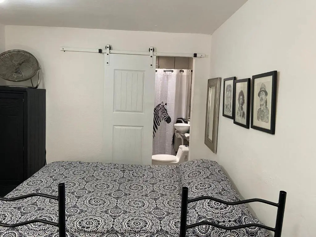 Zebra Studio