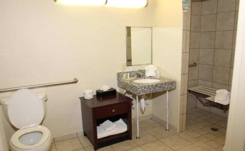 Holiday Inn St. Petersburg N - Clearwater by IHG