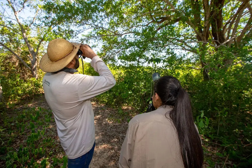 SouthWild Pantanal Lodge