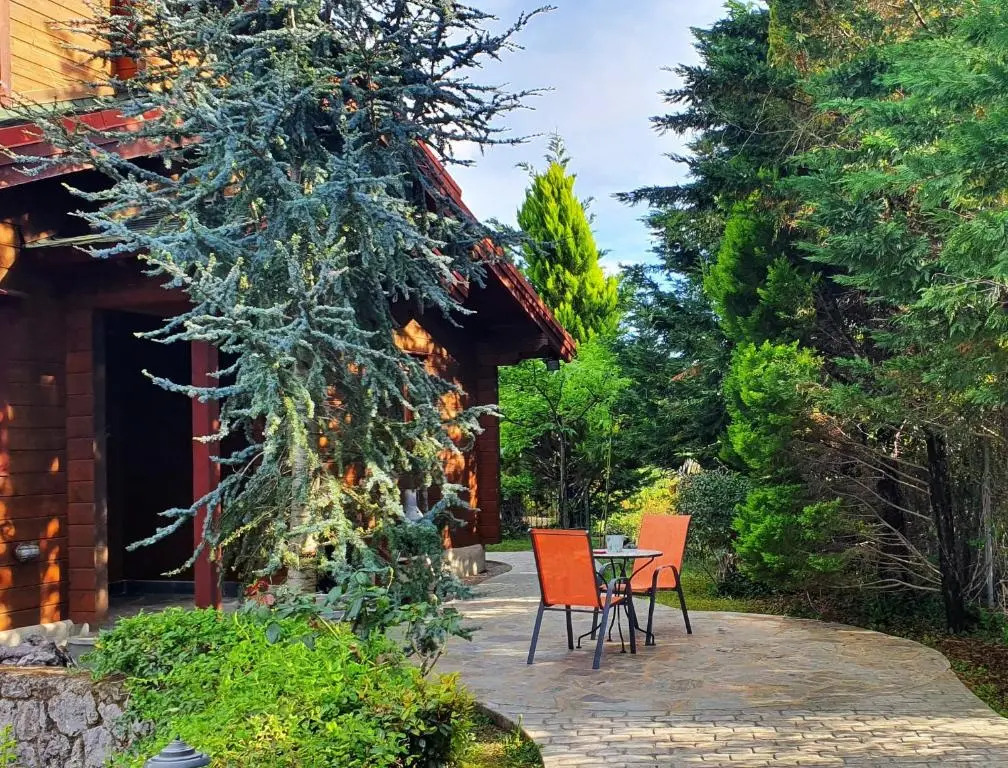 Luxury Wooden Villa with Pool, The Nest
