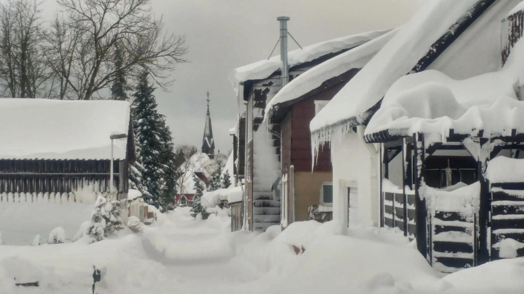 Pfötchenurlaub im Harz- Schöne Ferienwohnung für 2-4 Personen und Hund