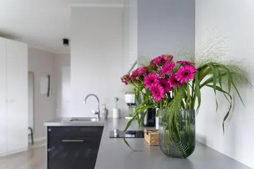 Apartament Anna