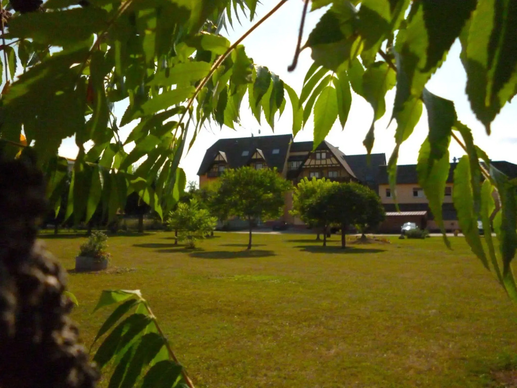 Hôtel Au Cep De Vigne
