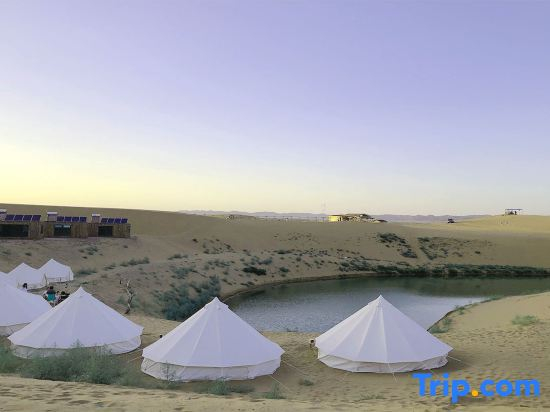 Shapotou Xingyue international camping base
