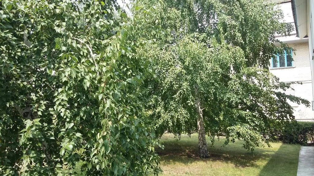 Центра Туризма