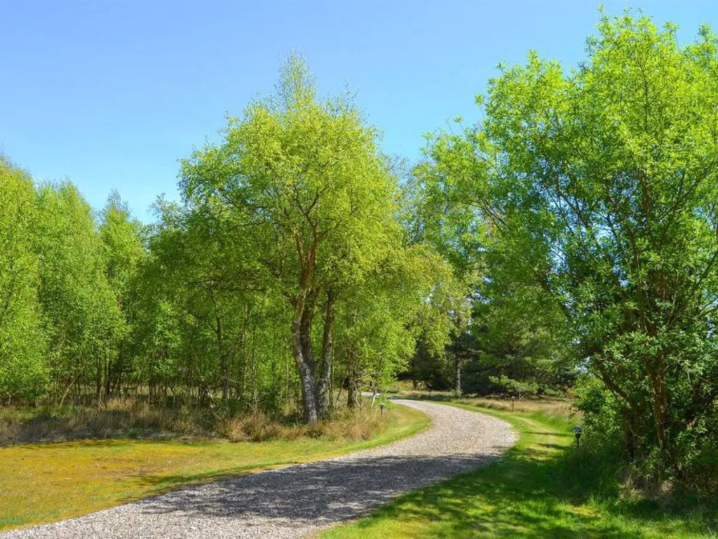 "Zeqir" - 2.7km from the sea in Western Jutland