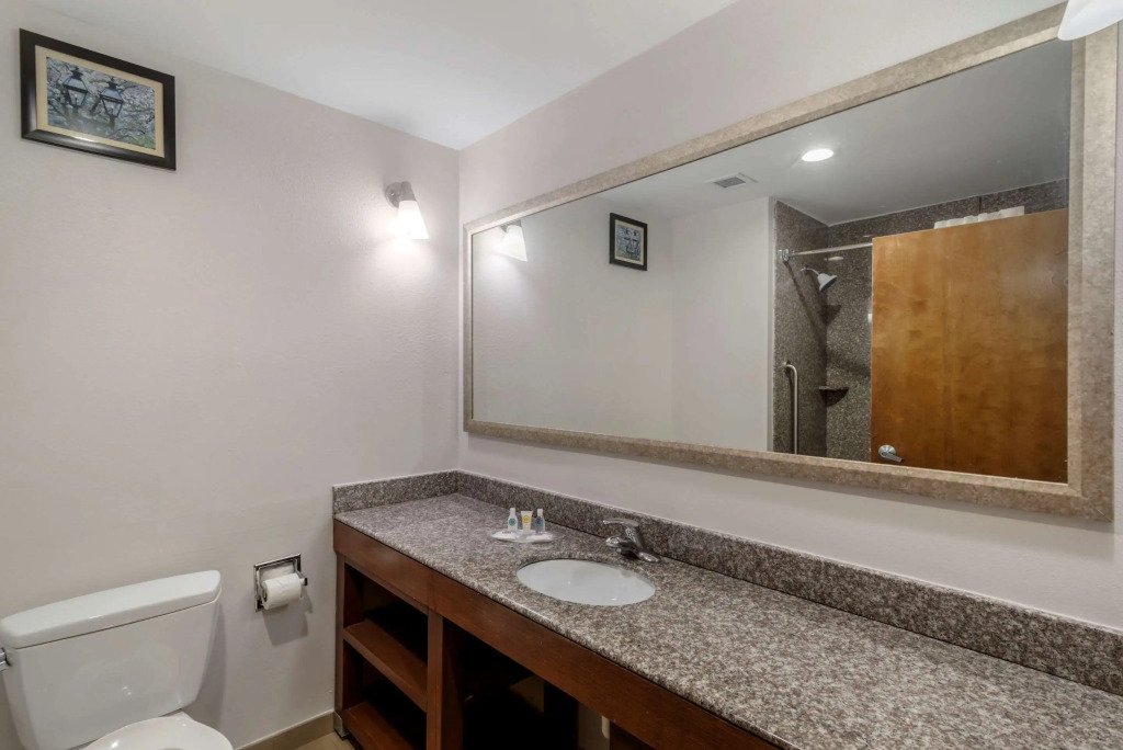Comfort Suites Macon Northwest