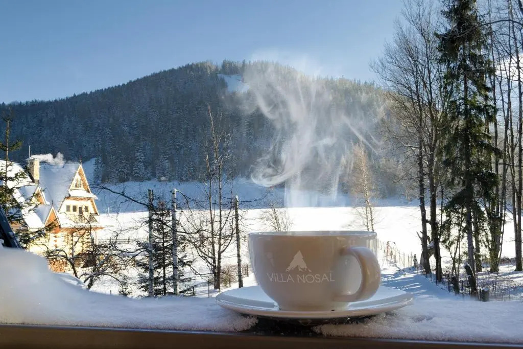 VILLA NOSAL - Zakopane