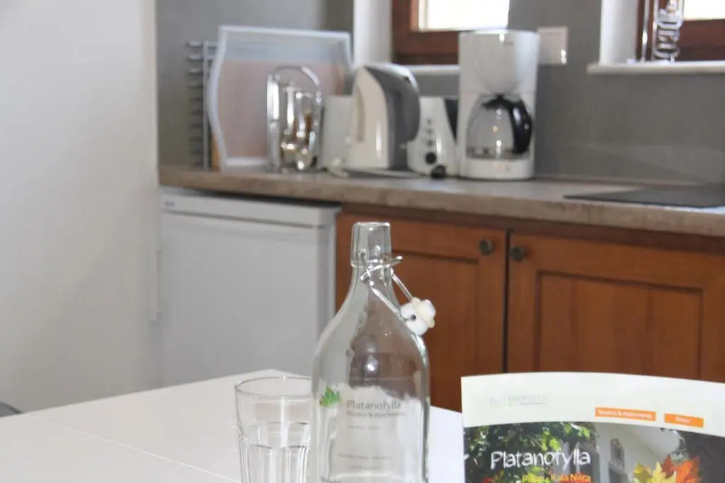 PLATANOFYLLA Family Apartment No6