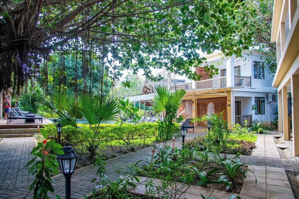 The Garden Lodge Pereybere - Piscine & Jardin