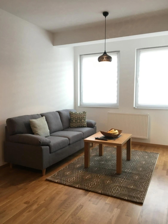 Fantastic Apartment De LUX