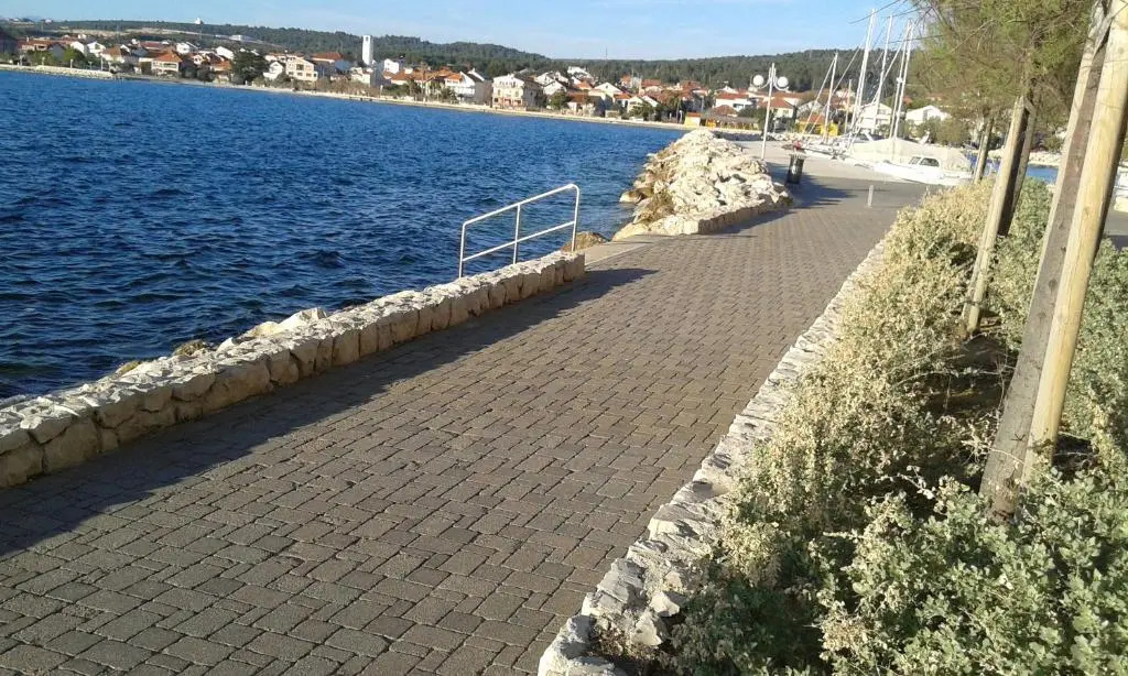 Palm Bibinje