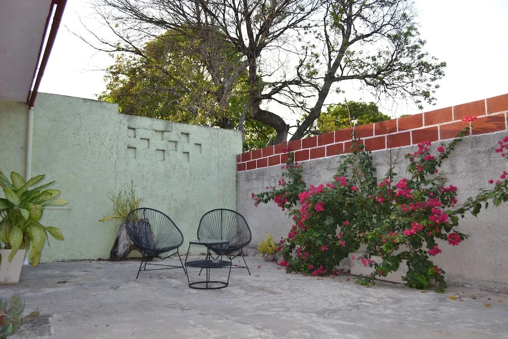 Casa Cuevas & Amaro