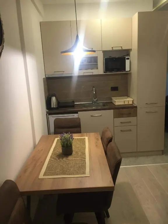 Apartman “N 17”Milmari-Kopaonik