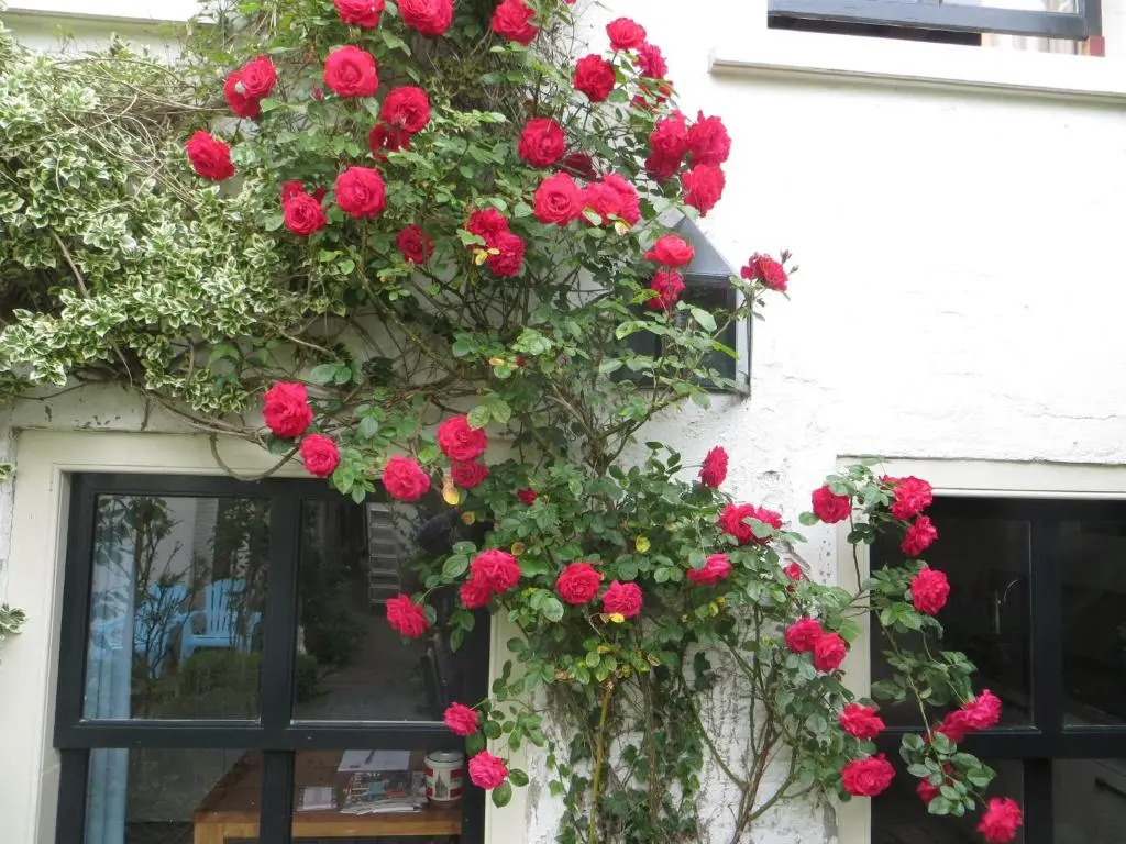 Apple Tree Cottage - discover this charming canal home in our idyllic garden