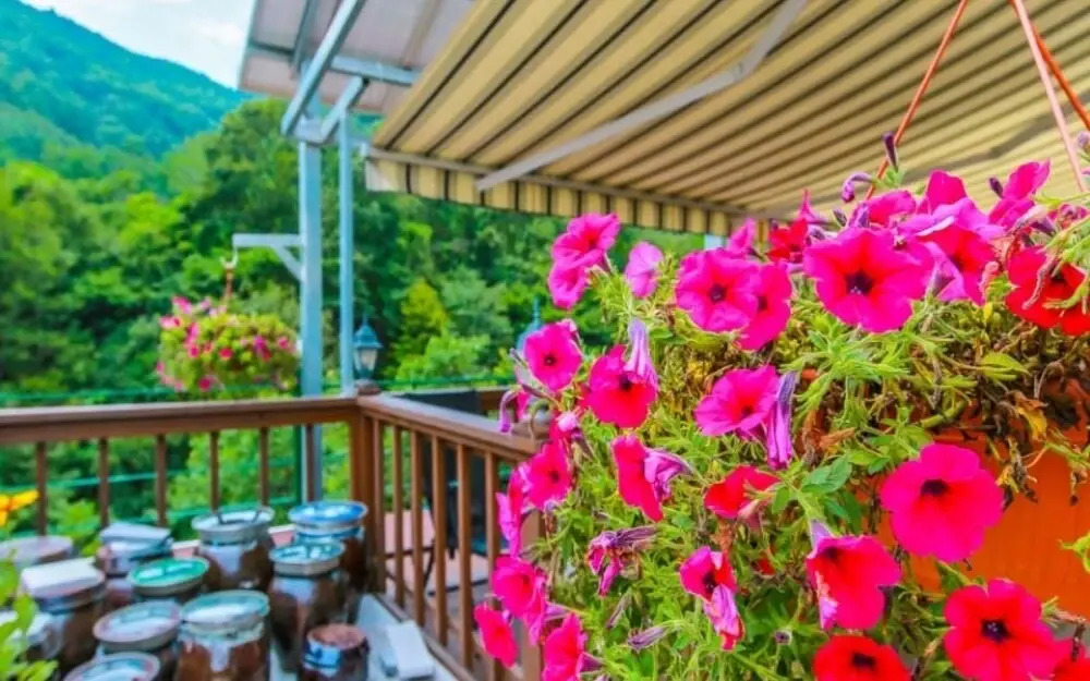 Yangyang Daol Pension(양양 다올펜션)