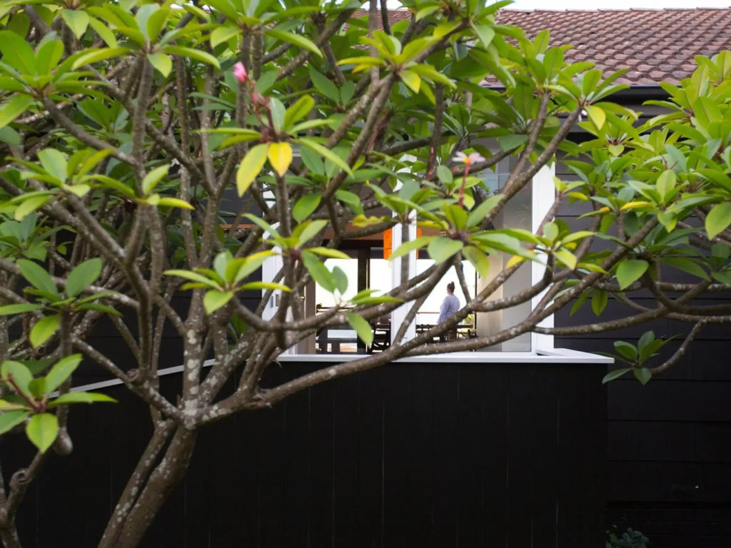 The Werri Shack Gerringong