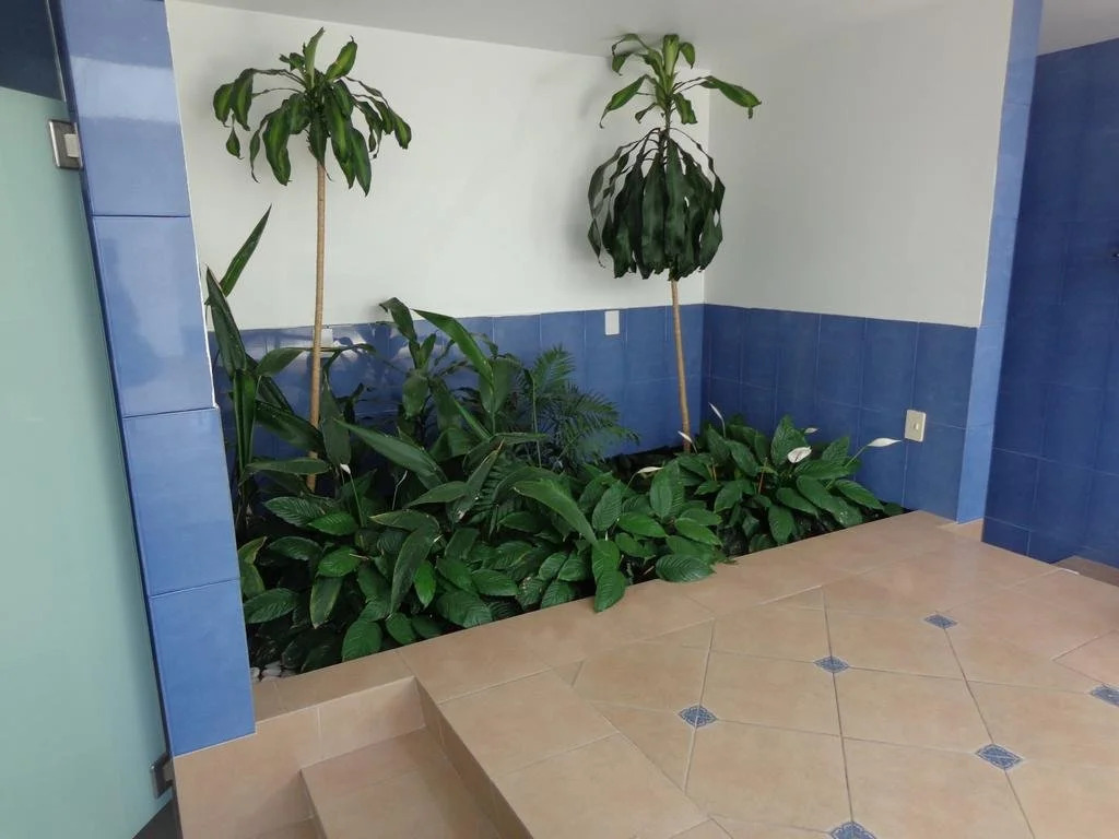 GS Cuernavaca