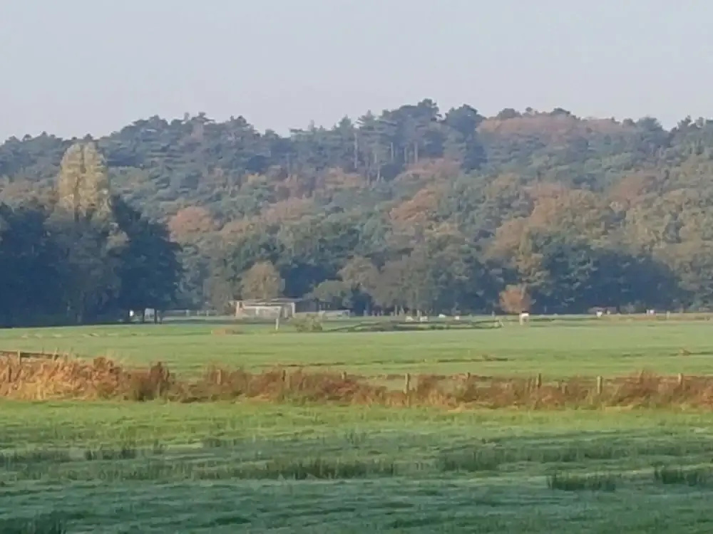 Ecolodge de Parel Schoorl