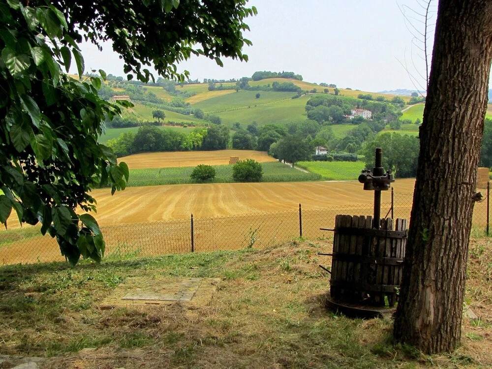 Apartment With 2 Bedrooms in Mondavio, With Wonderful Mountain View, P