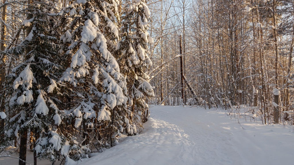 Беломорье
