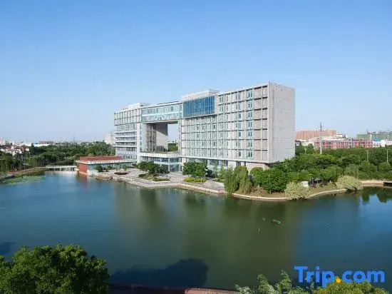 M·S Bauhinia Hotel