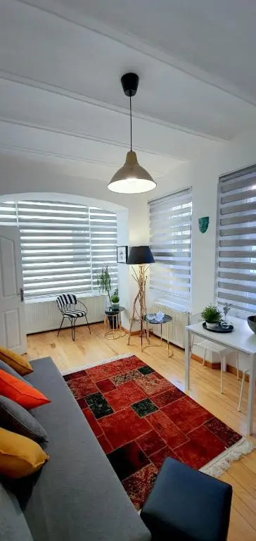 Haus Capsule Galata