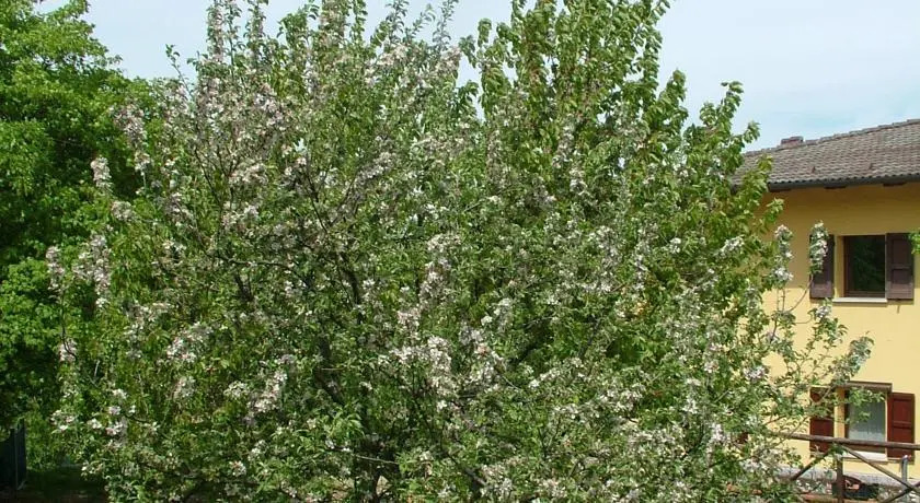 B&B Antica Frontiera