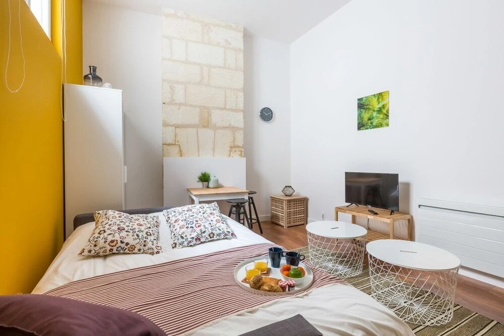 Beautiful Bordelais Studio #1