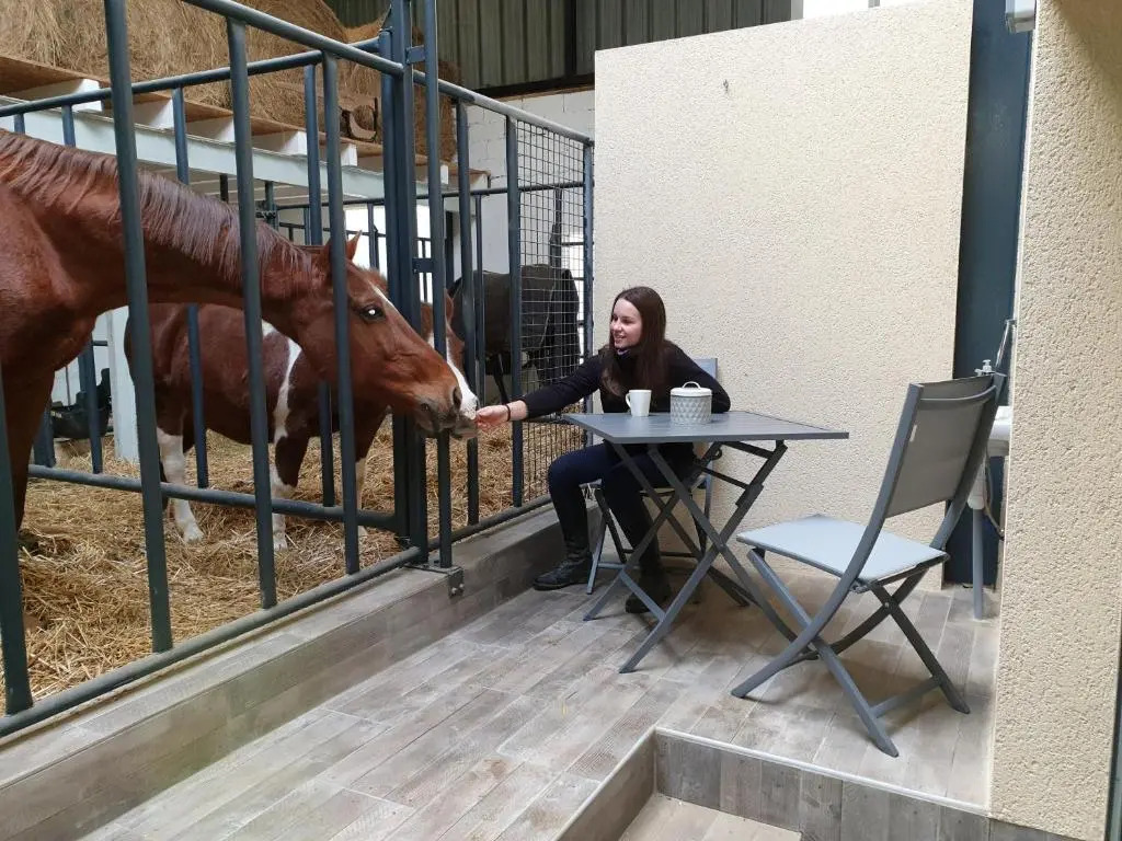 Equi-lodges