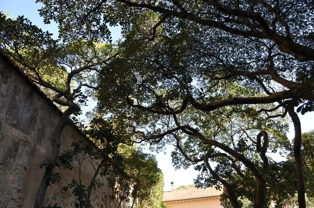 Villa Salvini